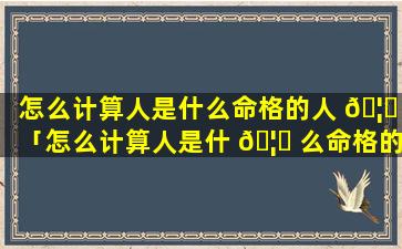 怎么计算人是什么命格的人 🦈 「怎么计算人是什 🦅 么命格的人呢」